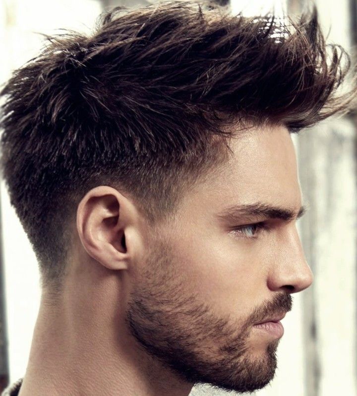 Taper Haircut + Brushed Up | Men haircut styles, Trending hairstyles for men,  Haircuts for men